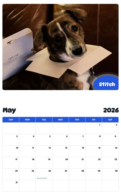 2026 - 2027 Stitch - Pawidols Pet Calendar