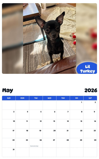 2026 - 2027 Lil Turkey - Pawidols Pet Calendar