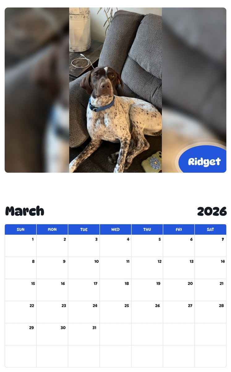 November 2025 - October 2026 Ridget - Pawidols Pet Calendar