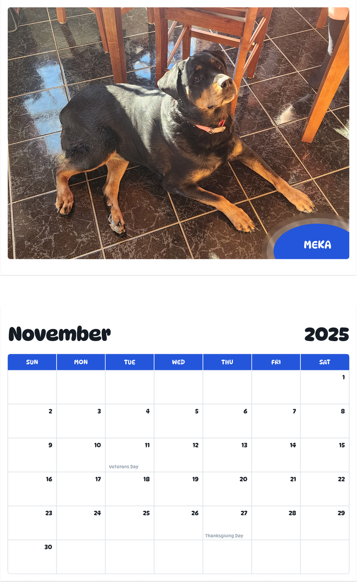 July 2025 - June 2026 Meka - Pawidols Pet Calendar