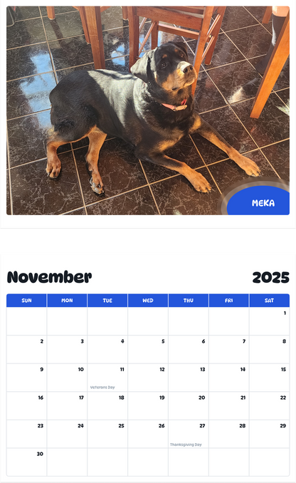 July 2025 - June 2026 Meka - Pawidols Pet Calendar