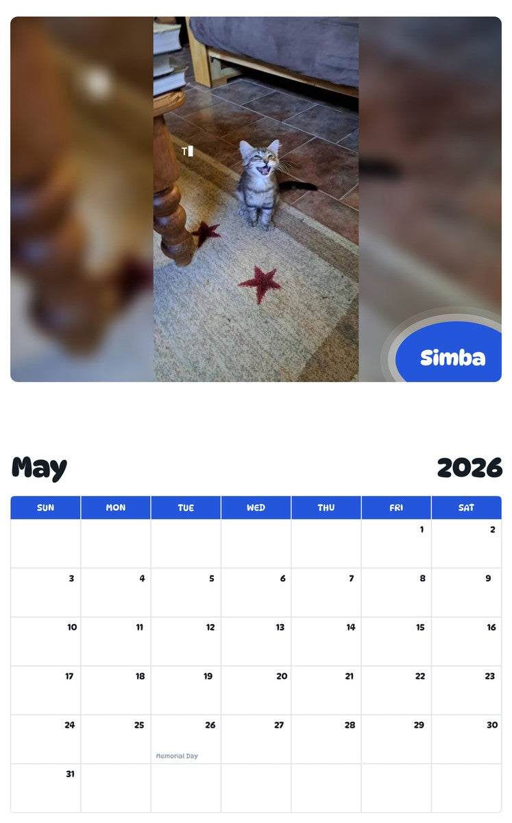 2026 - 2027 Simba - Pawidols Pet Calendar