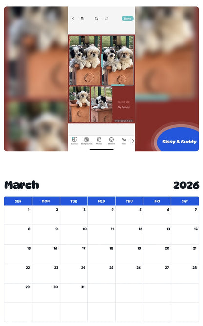 November 2025 - October 2026 Sissy & Buddy - Pawidols Pet Calendar