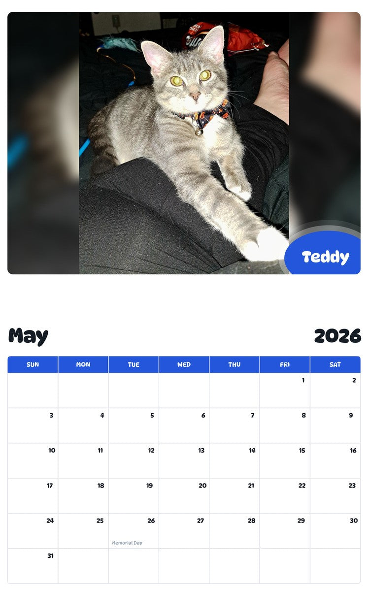 2026 - 2027 Teddy - Pawidols Pet Calendar