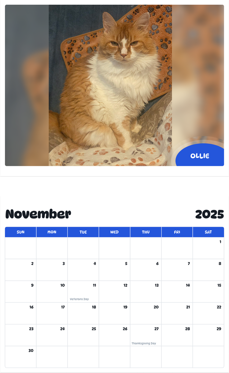 July 2025 - June 2026 Ollie - Pawidols Pet Calendar
