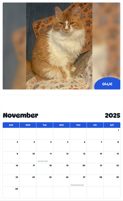 July 2025 - June 2026 Ollie - Pawidols Pet Calendar