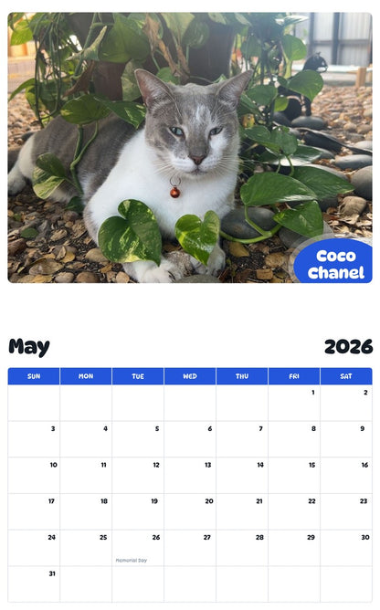 2026 - 2027 Coco Chanel - Pawidols Pet Calendar