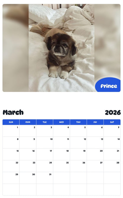 November 2025 - October 2026 Prince - Pawidols Pet Calendar
