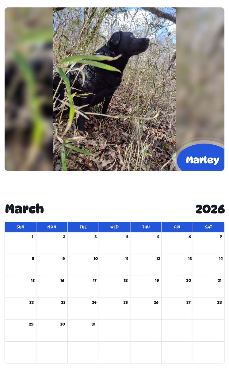 November 2025 - October 2026 Marley - Pawidols Pet Calendar