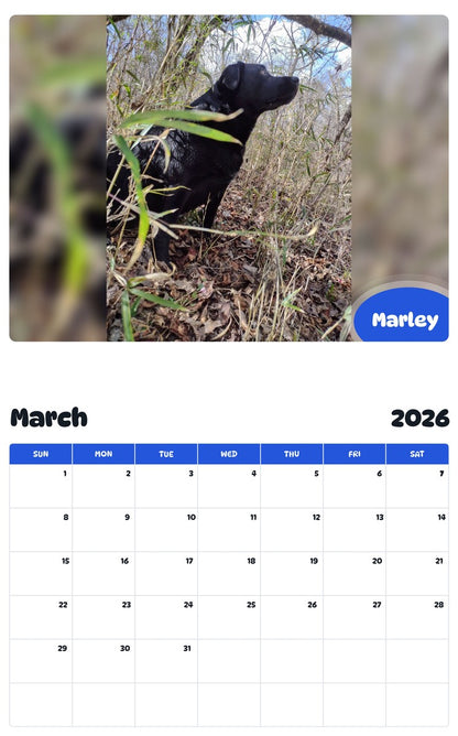 November 2025 - October 2026 Marley - Pawidols Pet Calendar