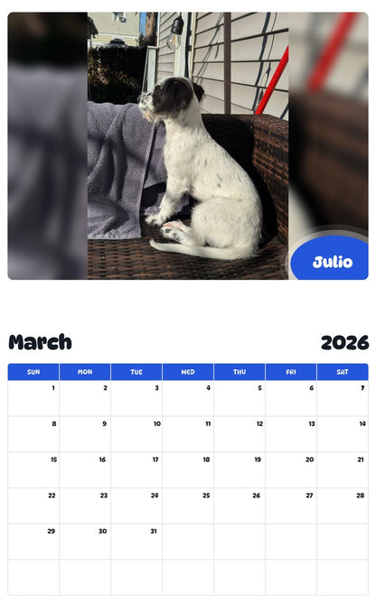 November 2025 - October 2026 Julio - Pawidols Pet Calendar