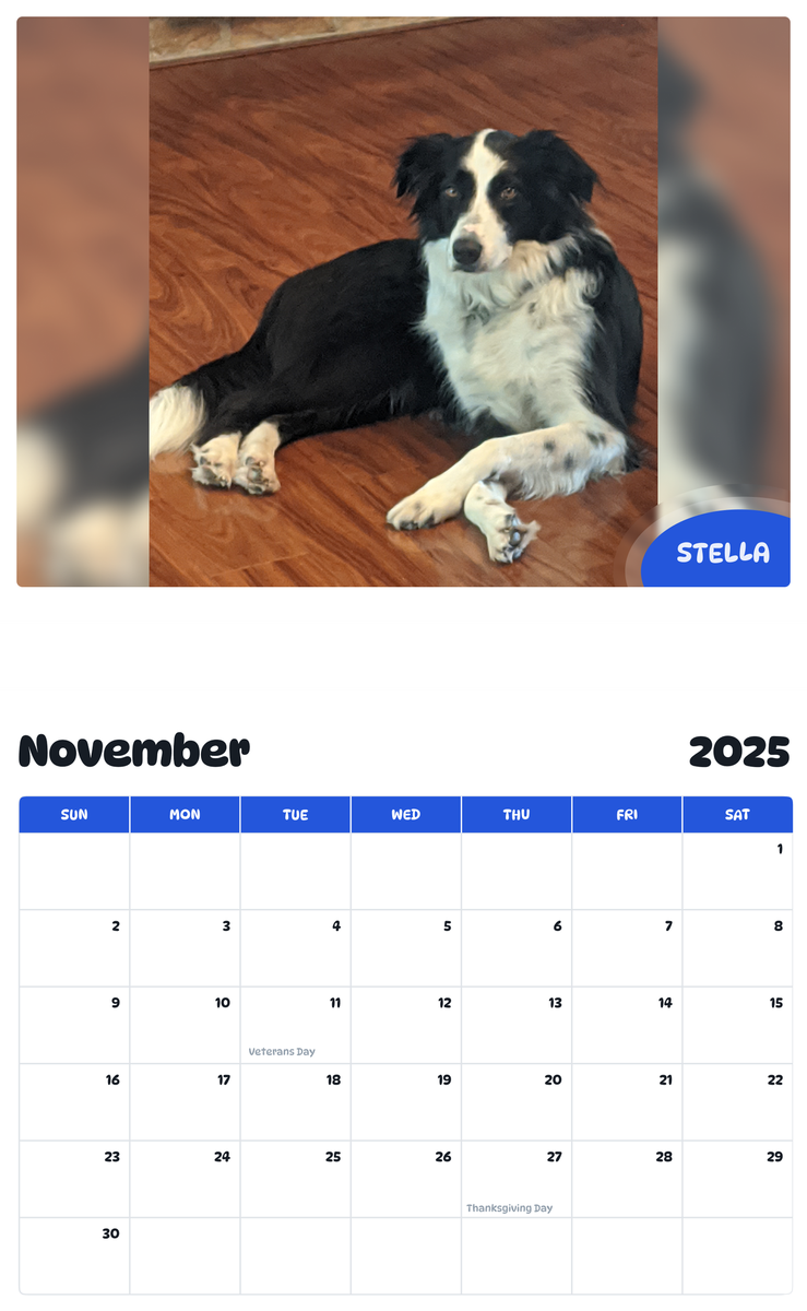 July 2025 - June 2026 Stella - Pawidols Pet Calendar