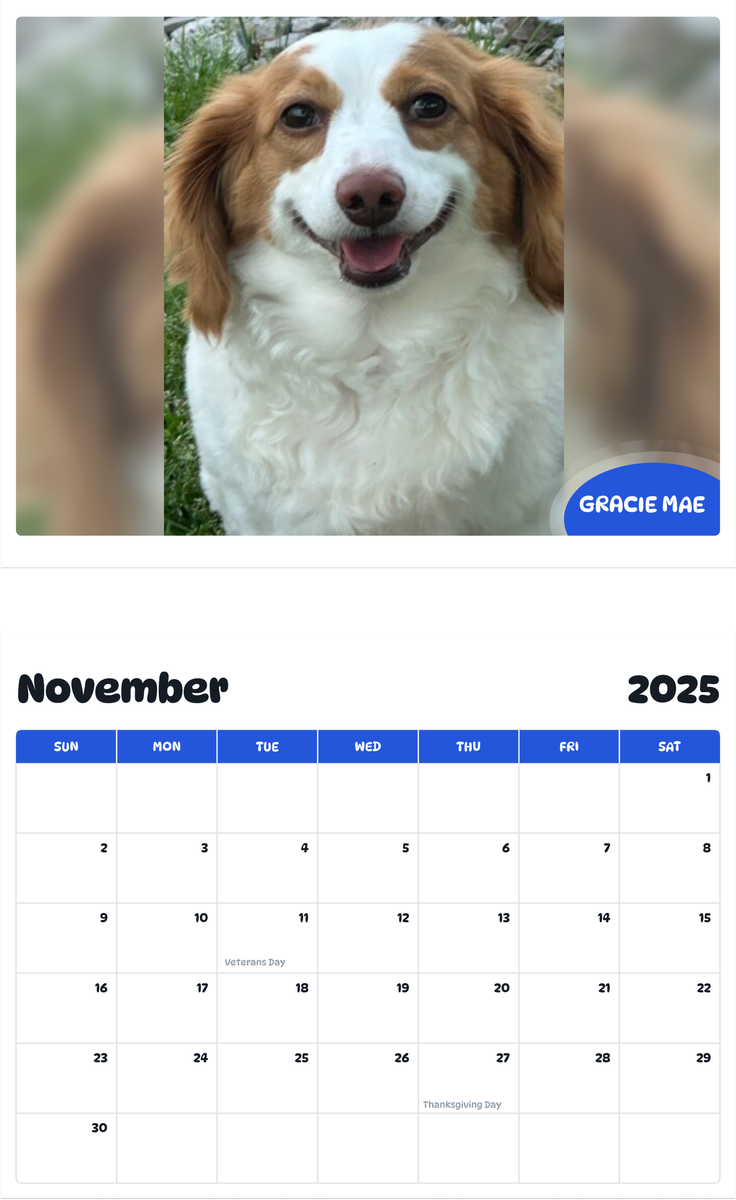 July 2025 - June 2026 Gracie Mae - Pawidols Pet Calendar