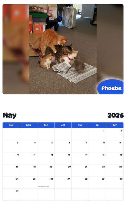 2026 - 2027 Phoebe - Pawidols Pet Calendar