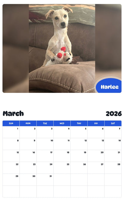November 2025 - October 2026 Harlee - Pawidols Pet Calendar
