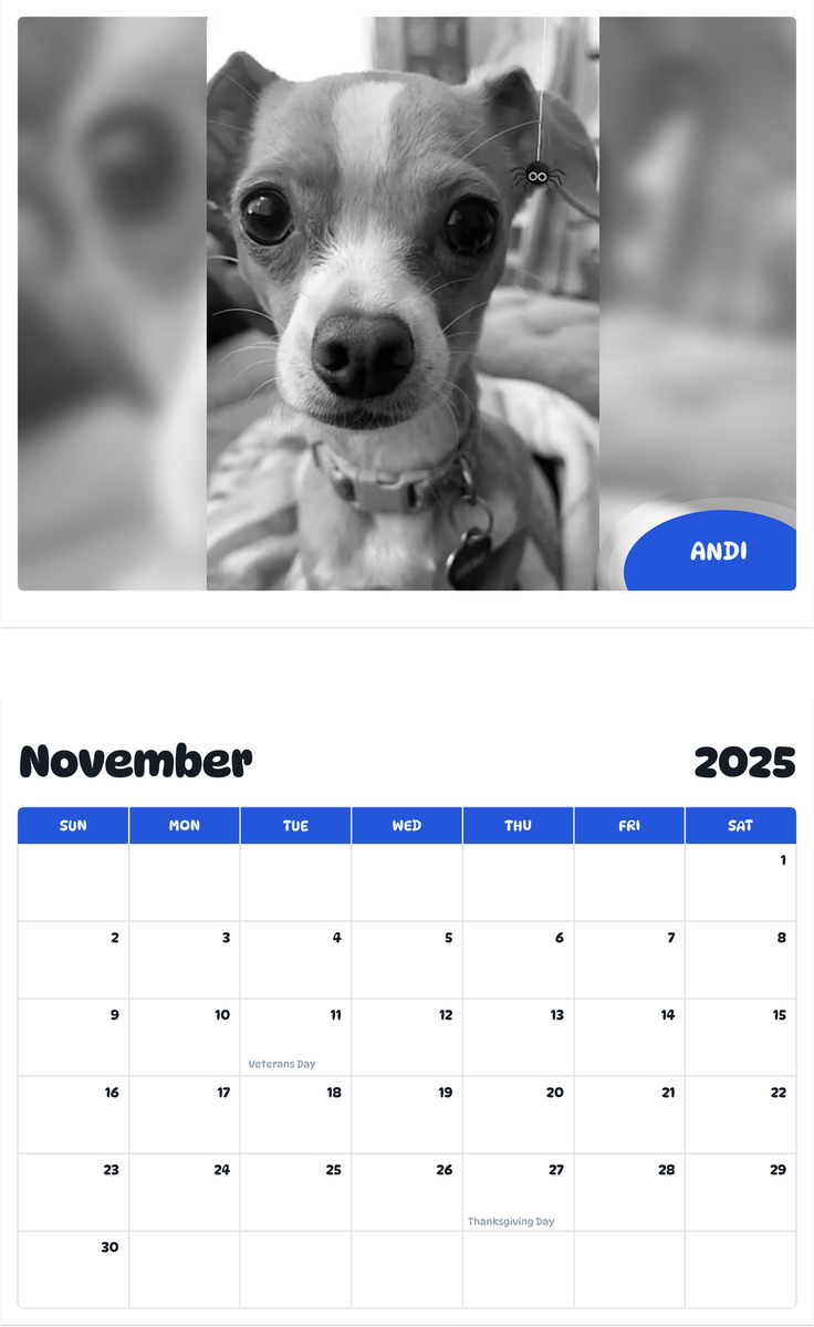 July 2025 - June 2026 Andi - Pawidols Pet Calendar