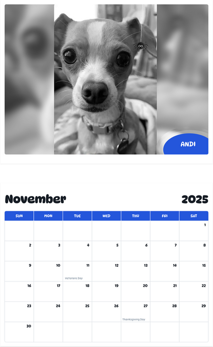July 2025 - June 2026 Andi - Pawidols Pet Calendar