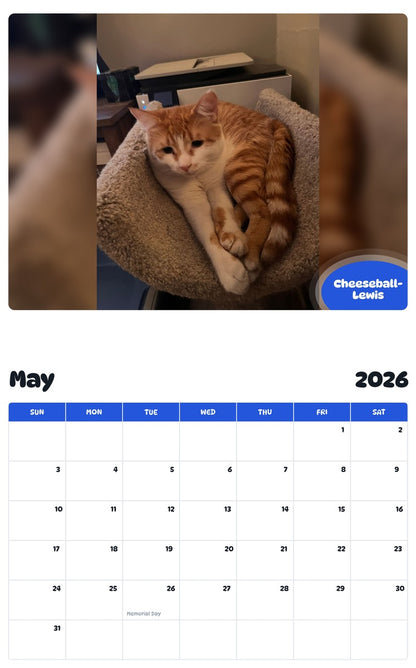 2026 - 2027 Cheeseball-Lewis - Pawidols Pet Calendar