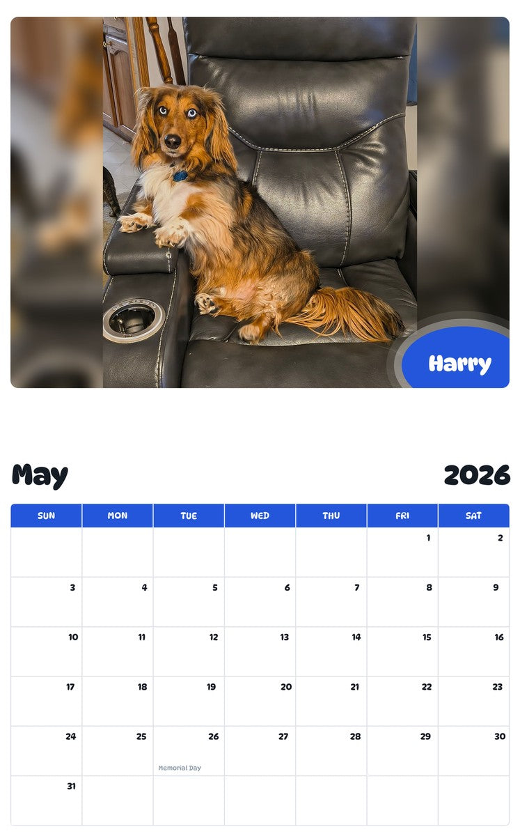 2026 - 2027 Harry - Pawidols Pet Calendar