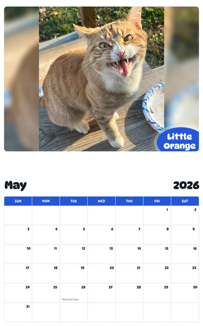 2026 - 2027 Little Orange - Pawidols Pet Calendar