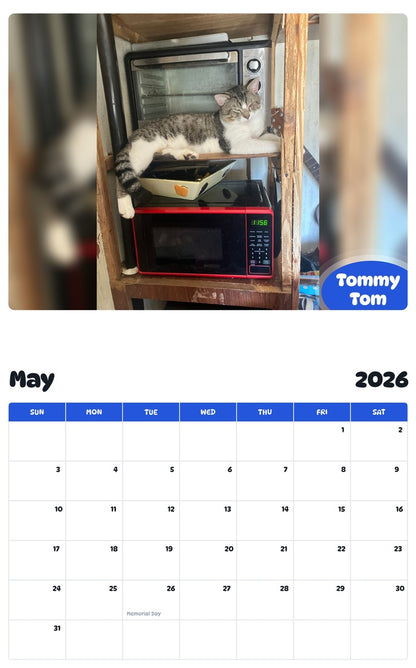 2026 - 2027 Tommy Tom - Pawidols Pet Calendar