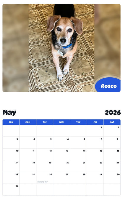 2026 - 2027 Rosco - Pawidols Pet Calendar