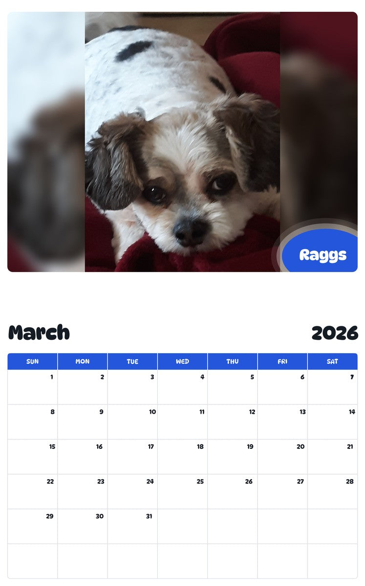 November 2025 - October 2026 Raggs - Pawidols Pet Calendar