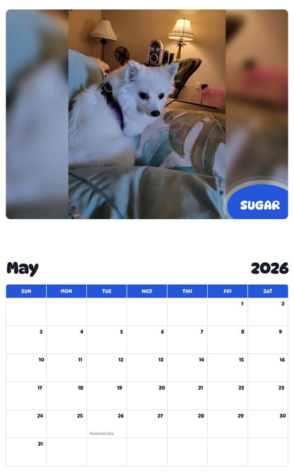 2026 - 2027 SUGAR - Pawidols Pet Calendar