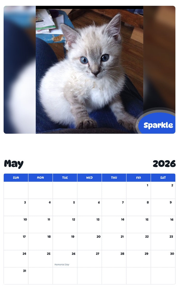 2026 - 2027 Sparkle - Pawidols Pet Calendar