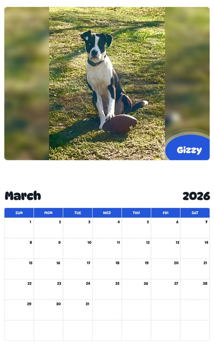 November 2025 - October 2026 Gizzy - Pawidols Pet Calendar