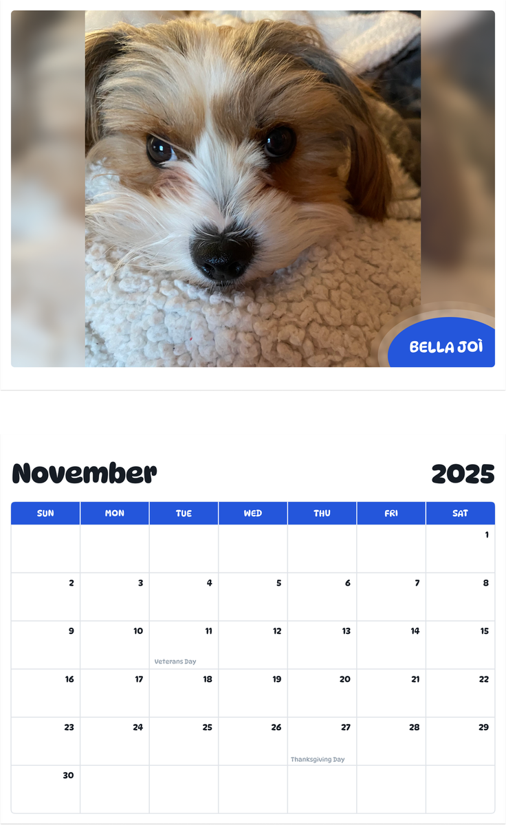 July 2025 - June 2026 Bella Joì - Pawidols Pet Calendar