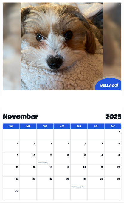 July 2025 - June 2026 Bella Joì - Pawidols Pet Calendar