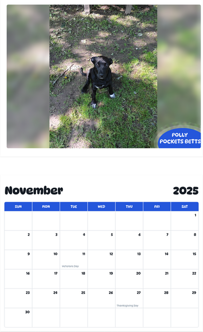 July 2025 - June 2026 Polly Pockets Betts - Pawidols Pet Calendar