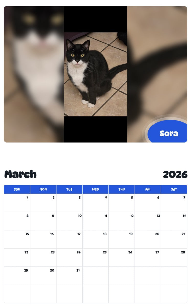 November 2025 - October 2026 Sora - Pawidols Pet Calendar