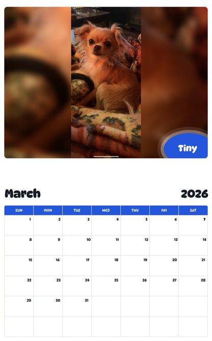 November 2025 - October 2026 Tiny - Pawidols Pet Calendar