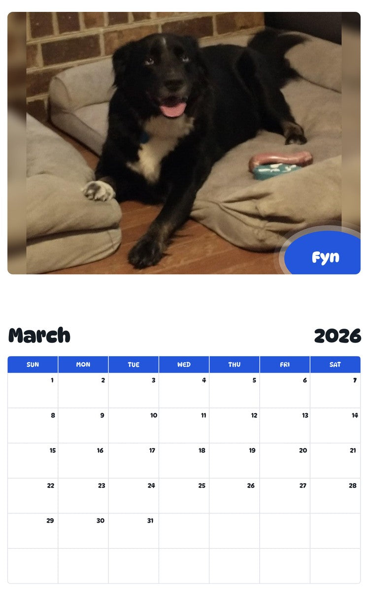 November 2025 - October 2026 Fyn - Pawidols Pet Calendar
