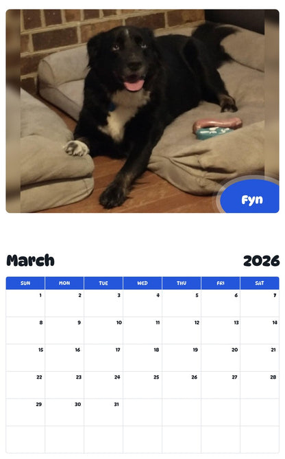 November 2025 - October 2026 Fyn - Pawidols Pet Calendar