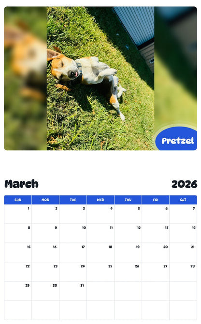 November 2025 - October 2026 Pretzel - Pawidols Pet Calendar