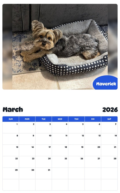 November 2025 - October 2026 Maverick - Pawidols Pet Calendar