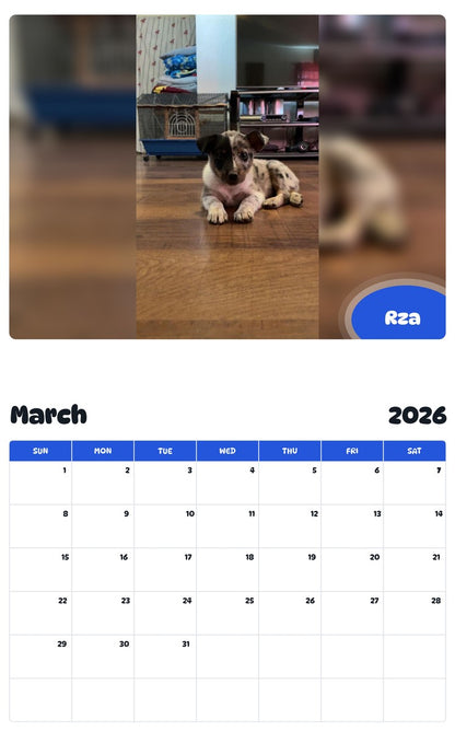 November 2025 - October 2026 Rza - Pawidols Pet Calendar