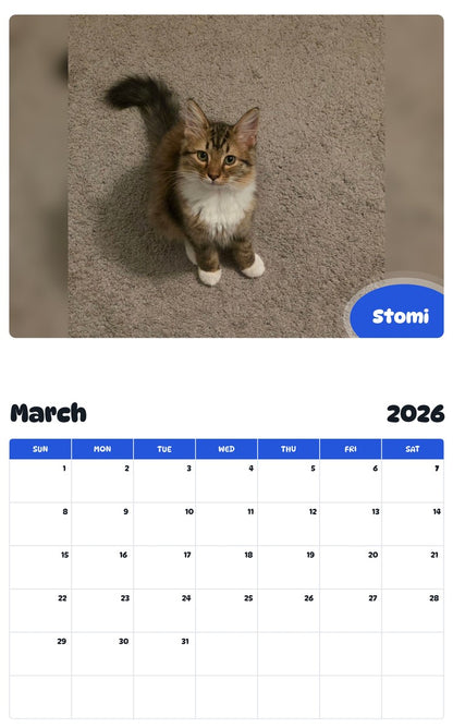 November 2025 - October 2026 Stomi - Pawidols Pet Calendar