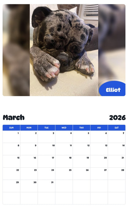 November 2025 - October 2026 Elliot - Pawidols Pet Calendar