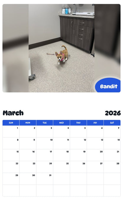 November 2025 - October 2026 Bandit - Pawidols Pet Calendar