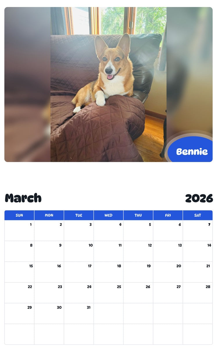 November 2025 - October 2026 Bennie - Pawidols Pet Calendar
