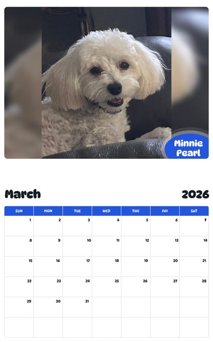November 2025 - October 2026 Minnie Pearl - Pawidols Pet Calendar