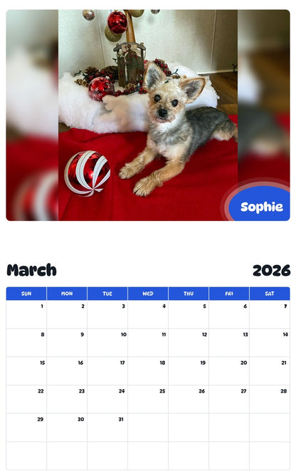 November 2025 - October 2026 Sophie - Pawidols Pet Calendar