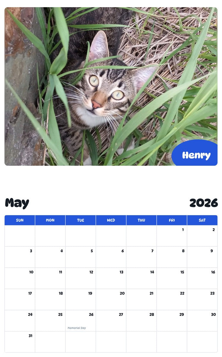 2026 - 2027 Henry - Pawidols Pet Calendar