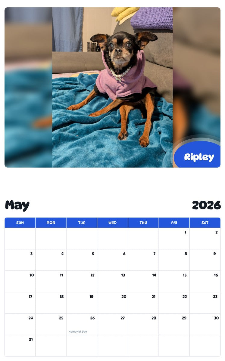 2026 - 2027 Ripley - Pawidols Pet Calendar