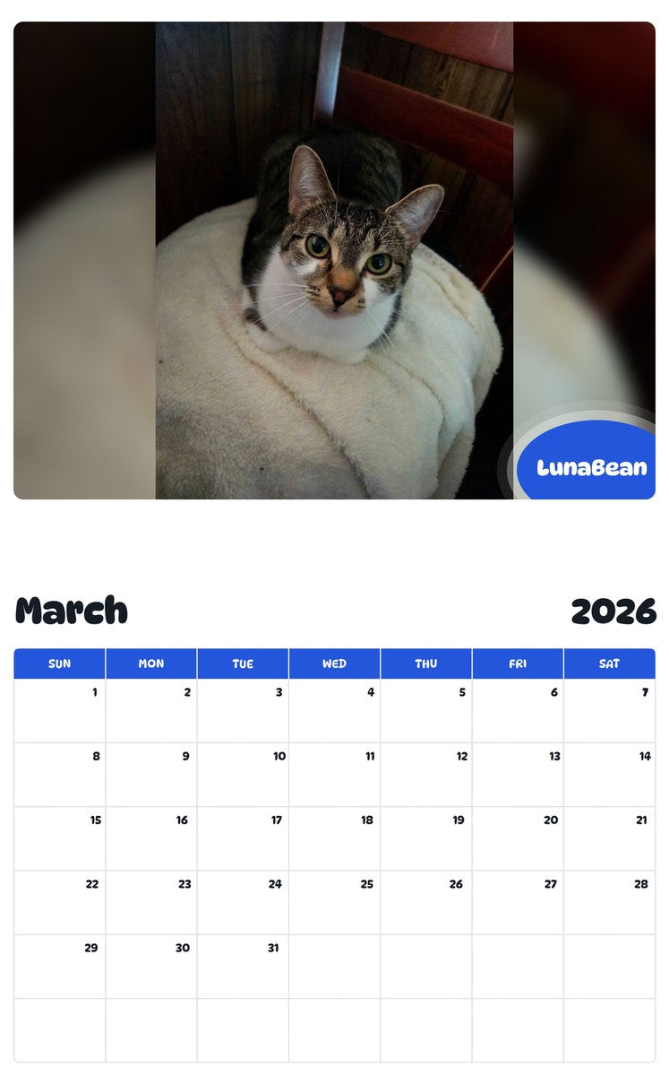 November 2025 - October 2026 LunaBean - Pawidols Pet Calendar