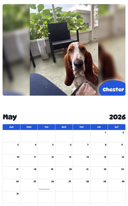 2026 - 2027 Chester - Pawidols Pet Calendar